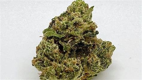 valley vixen|Valley Vixen Marijuana Strain Information & Reviews